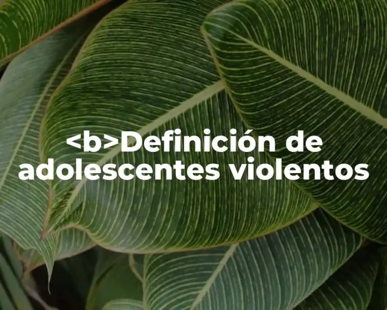 <b>Definición de adolescentes violentos
