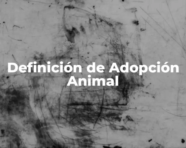 Definición de Adopción Animal