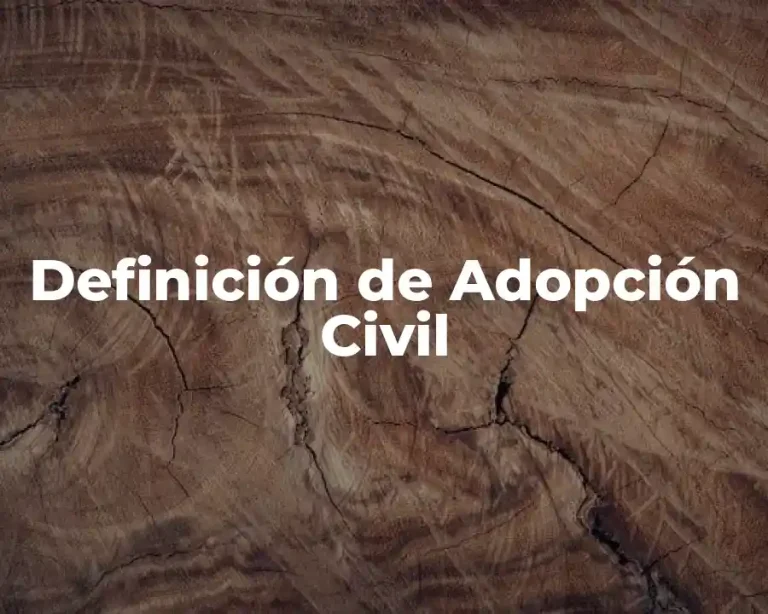 Definición de Adopción Civil