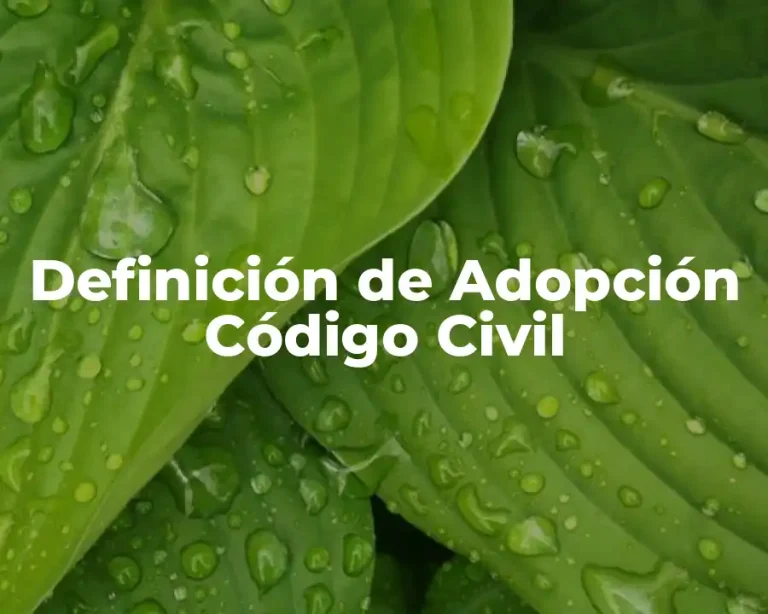 Definición de Adopción Código Civil