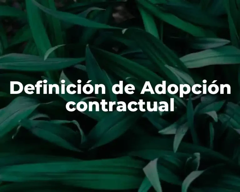 Definición de Adopción contractual