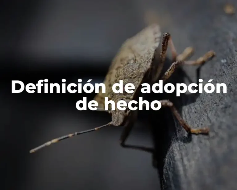 Definición de adopción de hecho