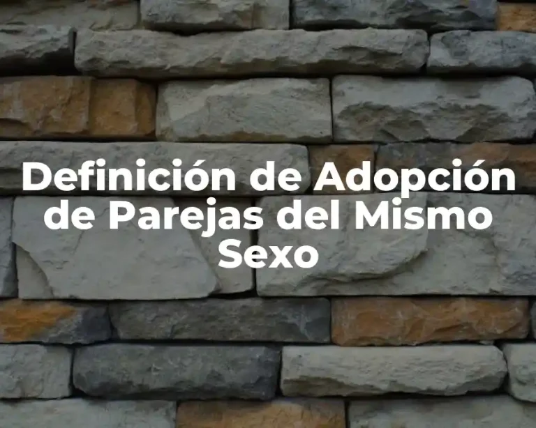 Definición de Adopción de Parejas del Mismo Sexo