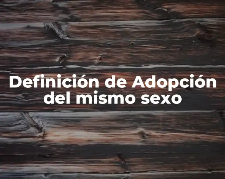 Definición de Adopción del mismo sexo