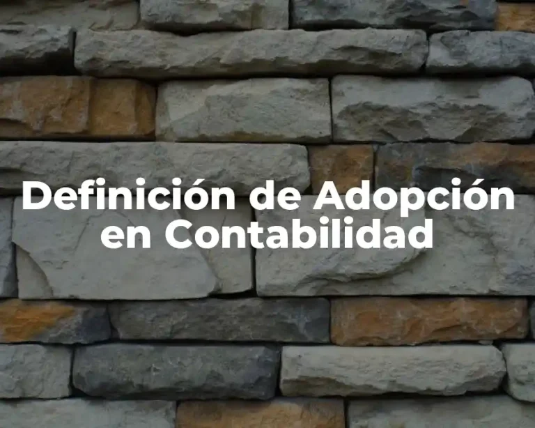 Definición de Adopción en Contabilidad