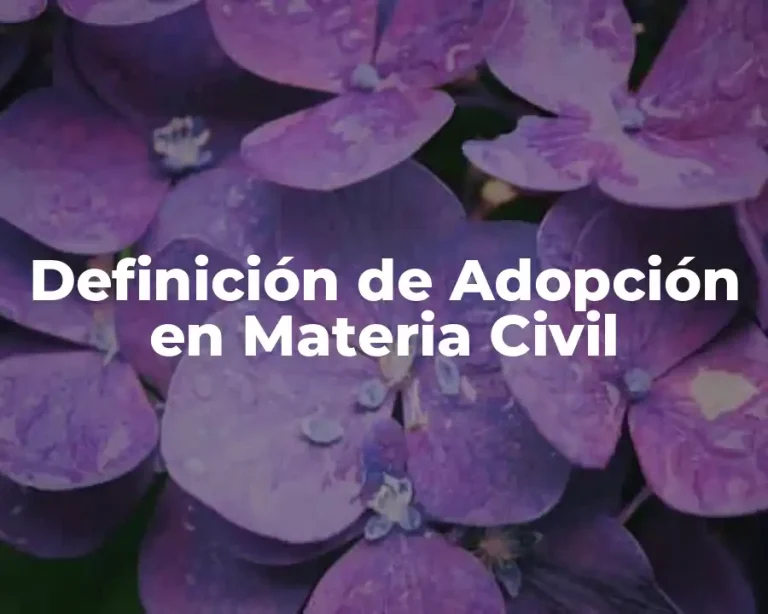 Definición de Adopción en Materia Civil