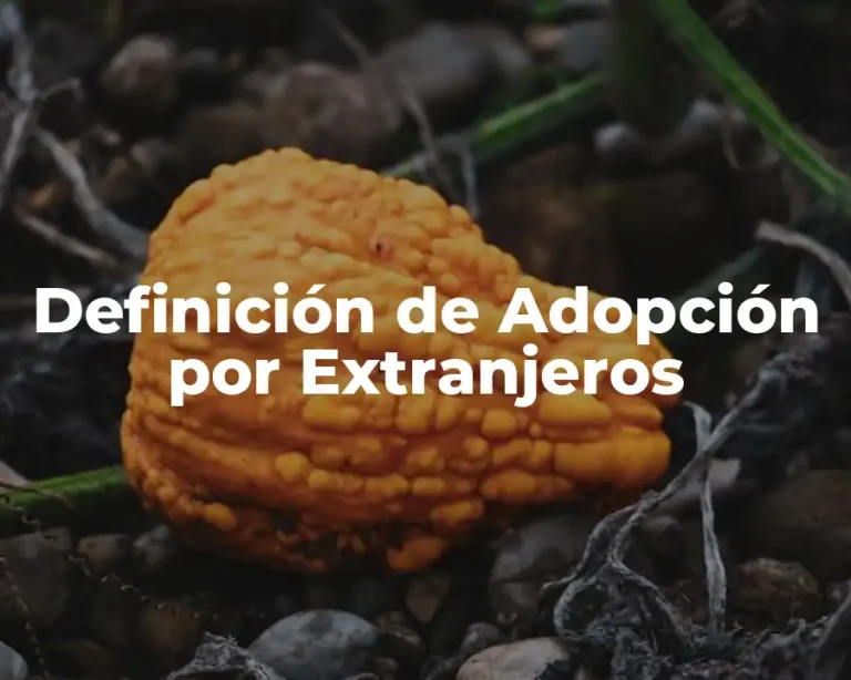 Definición de Adopción por Extranjeros