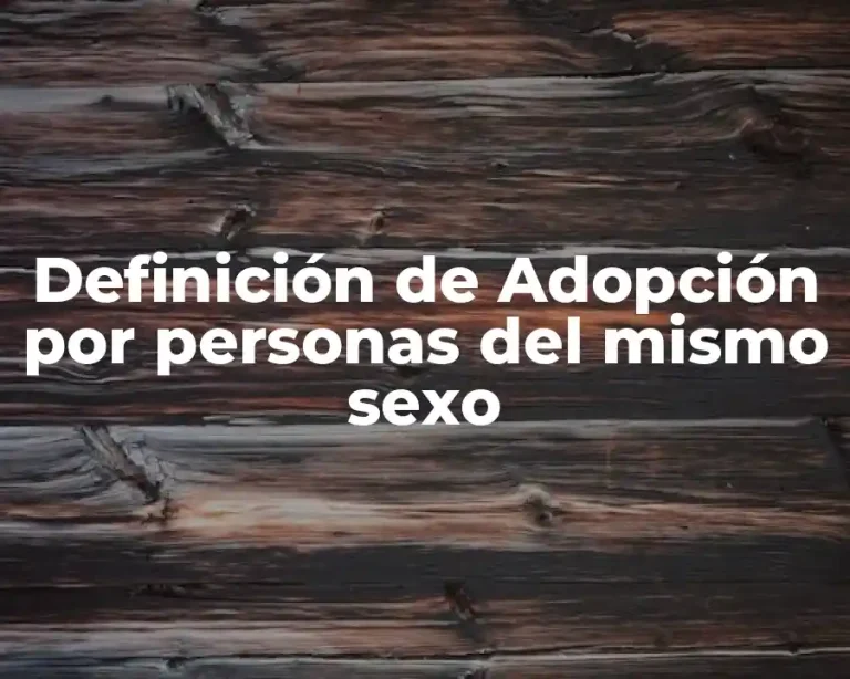 Definición de Adopción por personas del mismo sexo