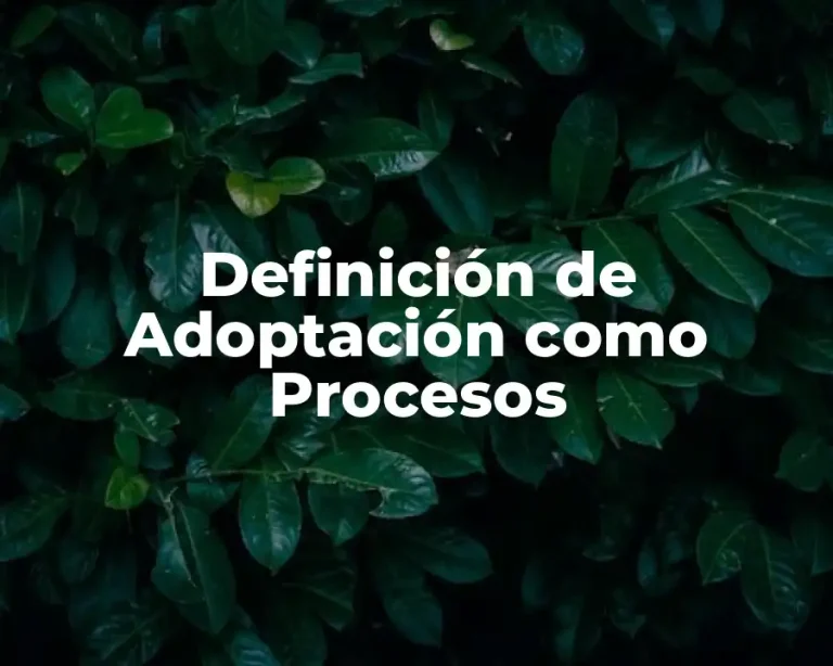 Definición de Adoptación como Procesos