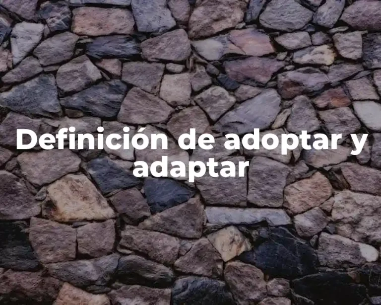 Definición de adoptar y adaptar