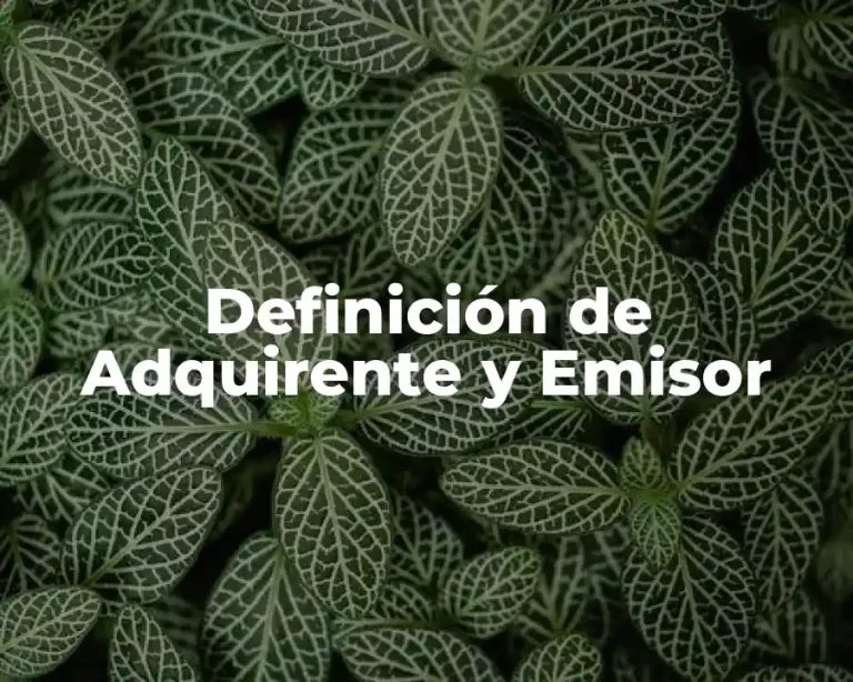 Definición de Adquirente y Emisor