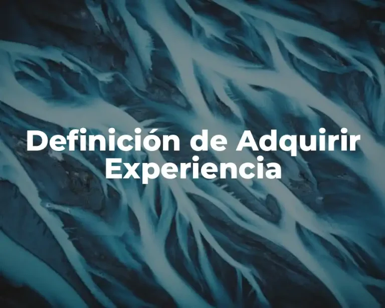 Definición de Adquirir Experiencia