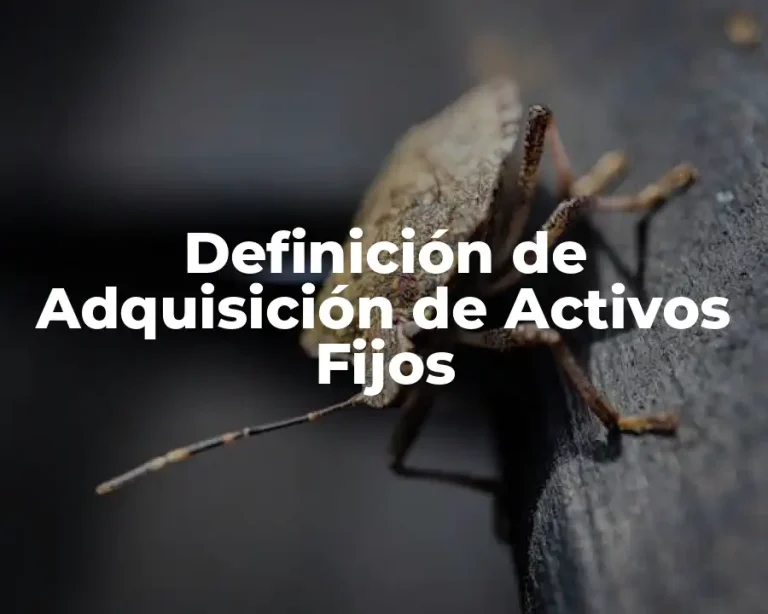Definición de Adquisición de Activos Fijos