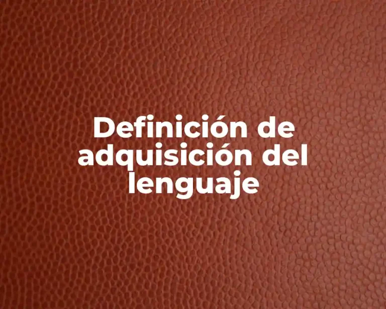 Definición de adquisición del lenguaje