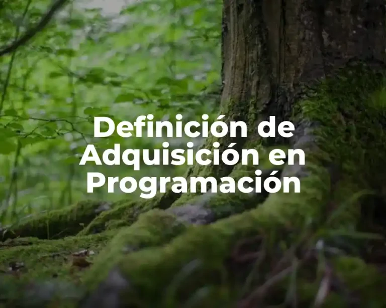 Definición de Adquisición en Programación