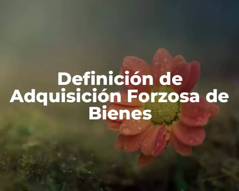 Definición de Adquisición Forzosa de Bienes