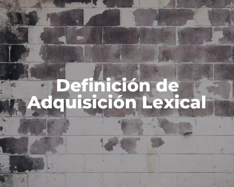 Definición de Adquisición Lexical