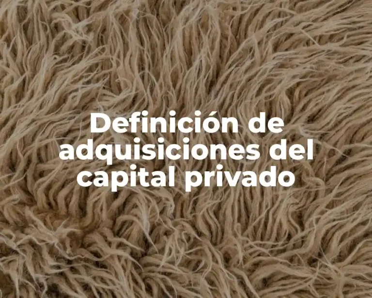 Definición de adquisiciones del capital privado