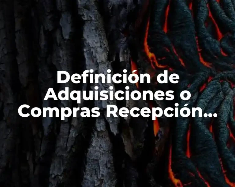 Definición de Adquisiciones o Compras Recepción Almacenamiento