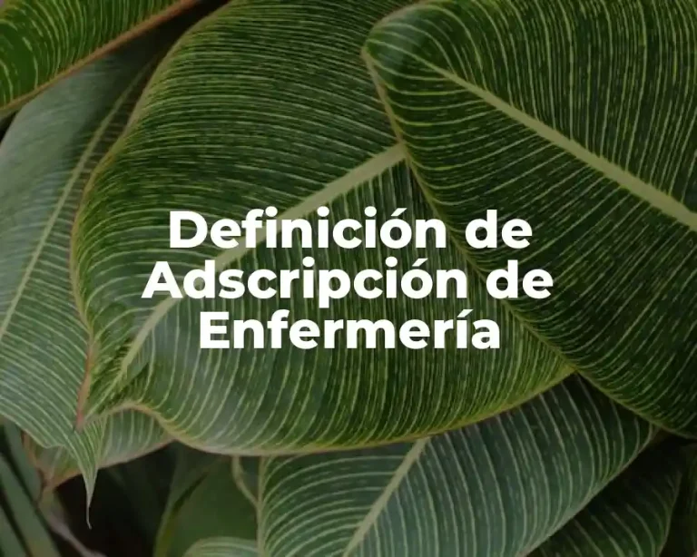 Definición de Adscripción de Enfermería