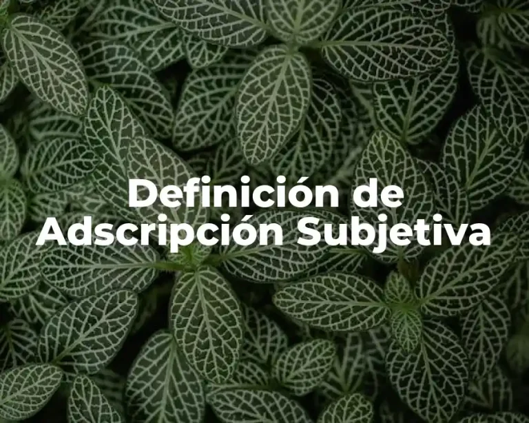 Definición de Adscripción Subjetiva
