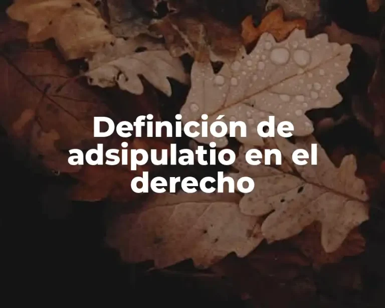 Definición de adsipulatio en el derecho