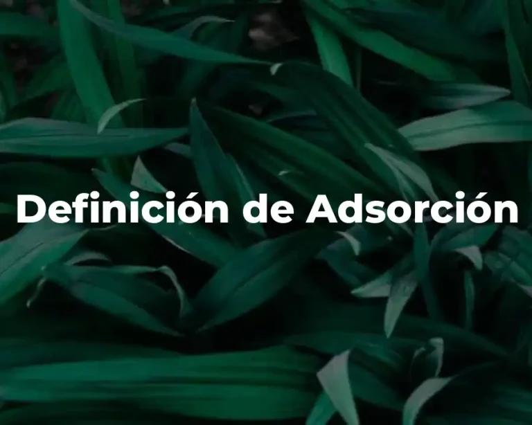 Definición de Adsorción