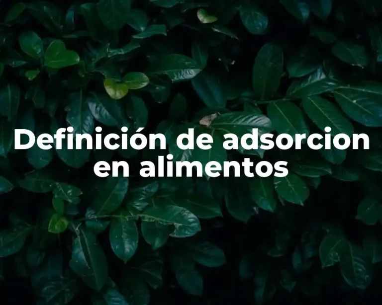 Definición de adsorcion en alimentos