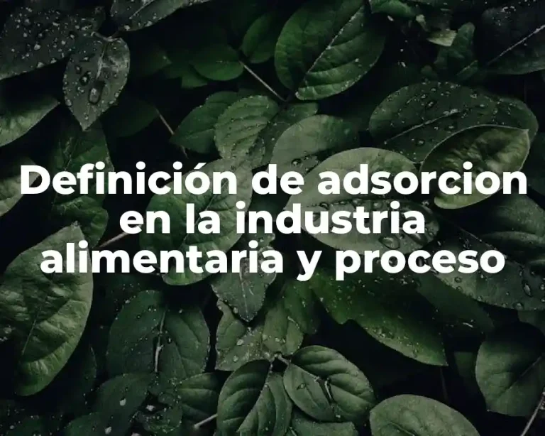 Definición de adsorcion en la industria alimentaria y proceso