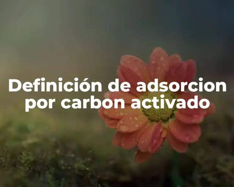 Definición de adsorcion por carbon activado