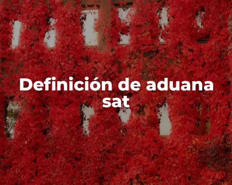 Definición de aduana sat