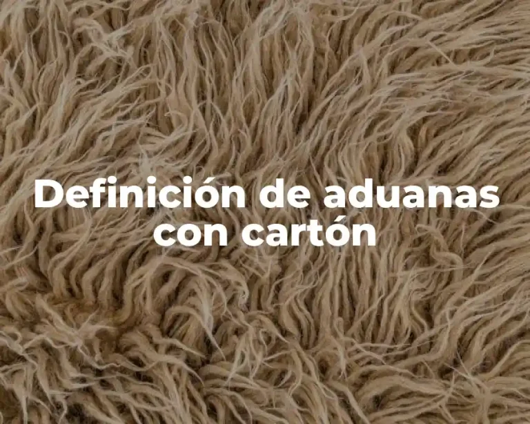 Definición de aduanas con cartón