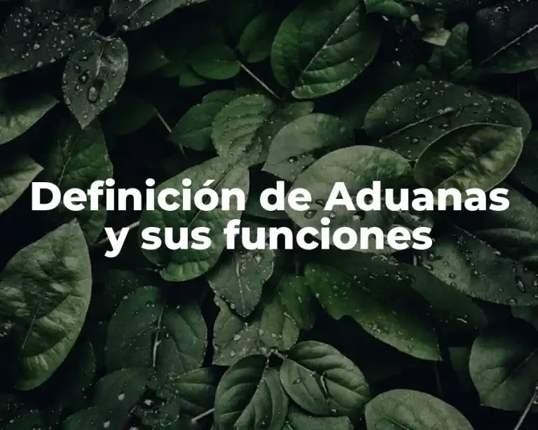 Definición de Aduanas y sus funciones