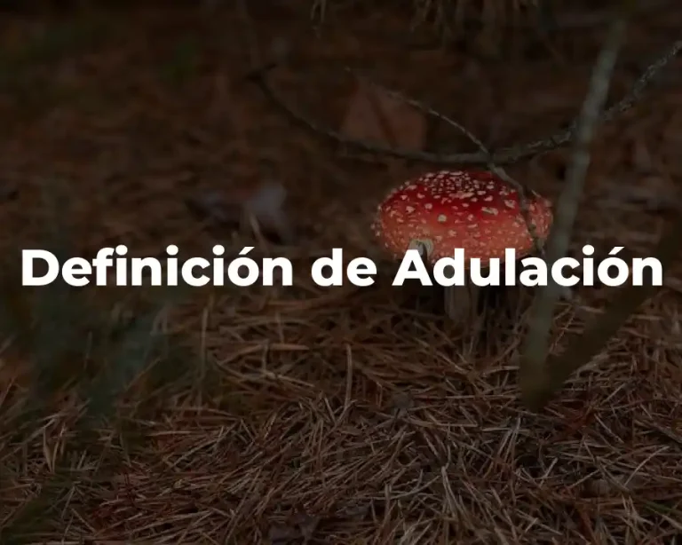 Definición de Adulación