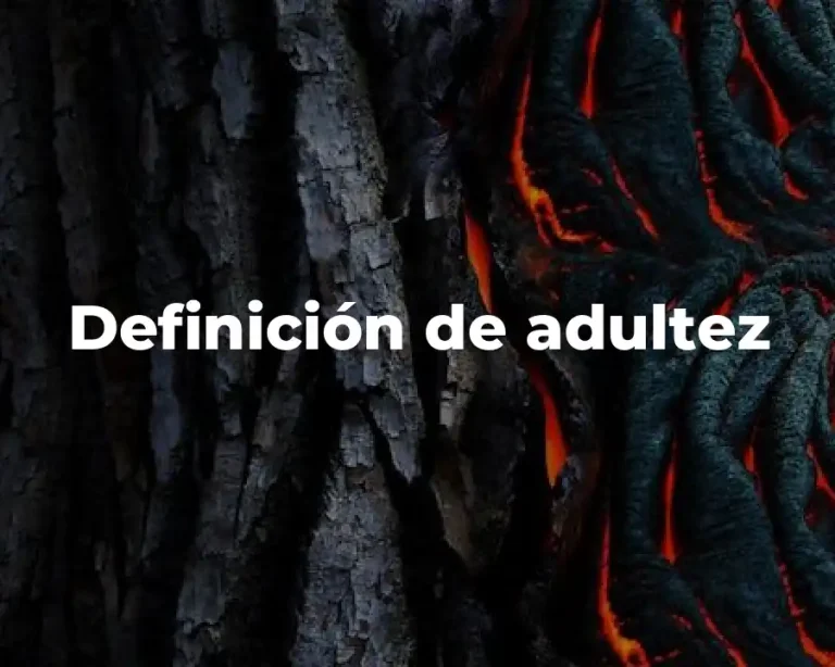 Definición de adultez