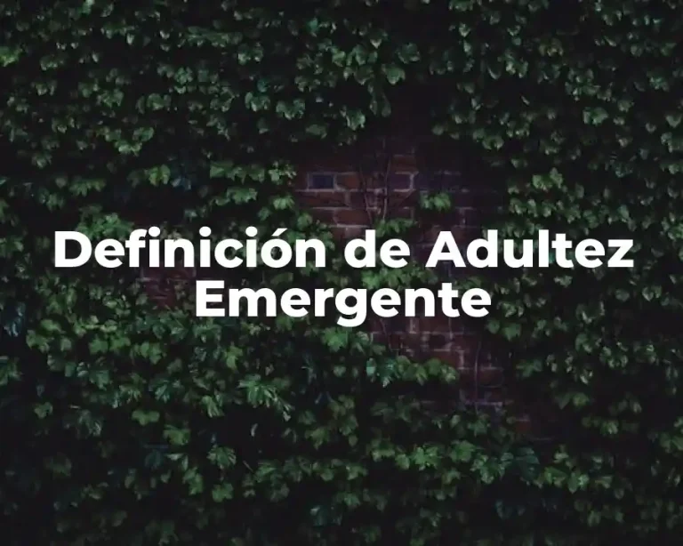 Definición de Adultez Emergente