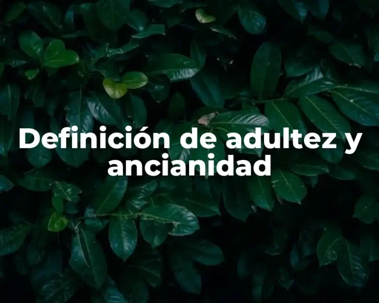 Definición de adultez y ancianidad