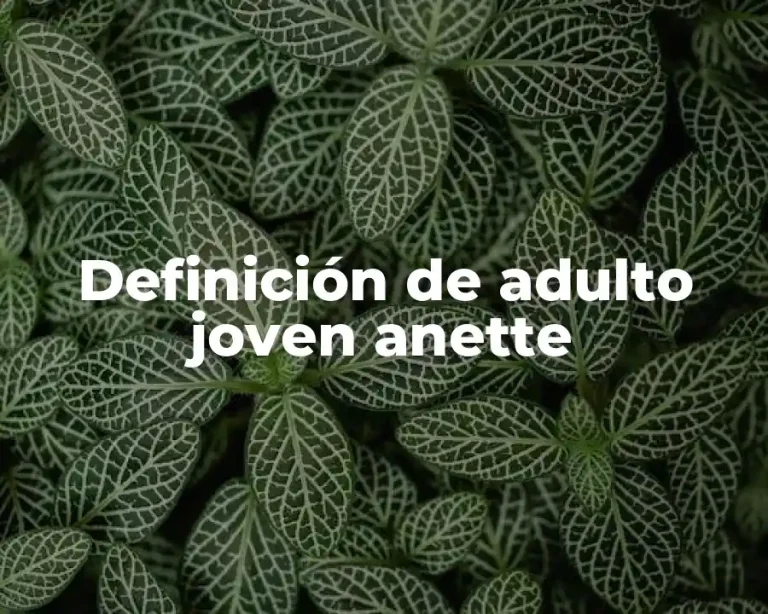 Definición de adulto joven anette