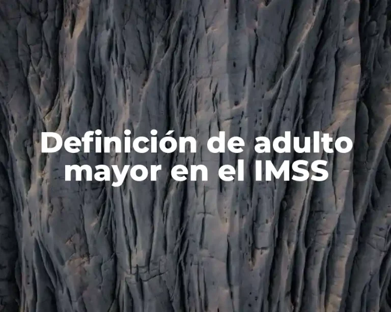 Definición de adulto mayor en el IMSS