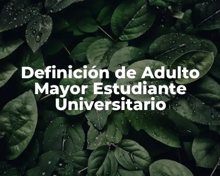 Definición de Adulto Mayor Estudiante Universitario