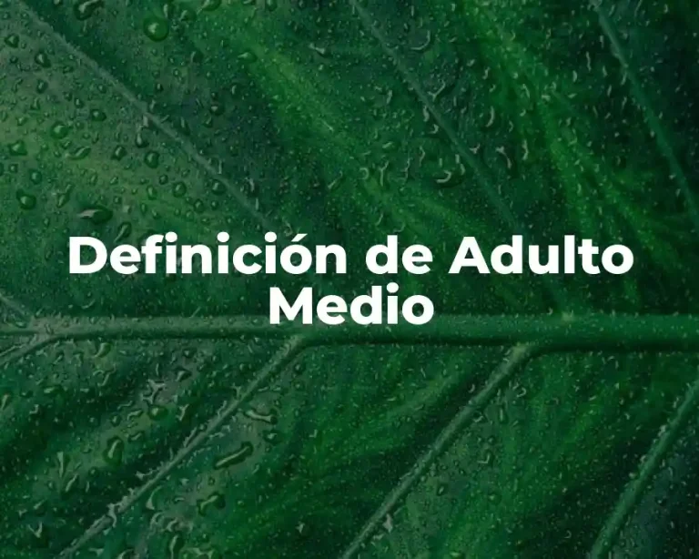 Definición de Adulto Medio