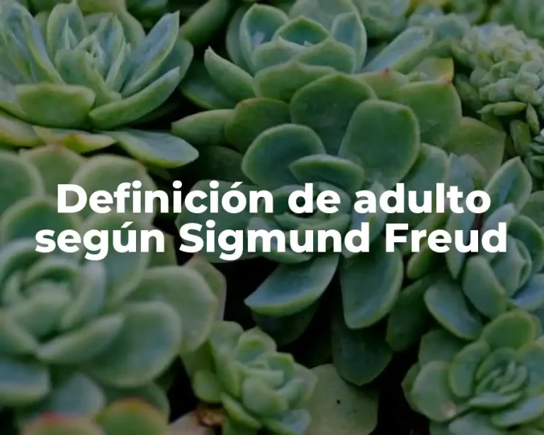 Definición de adulto según Sigmund Freud