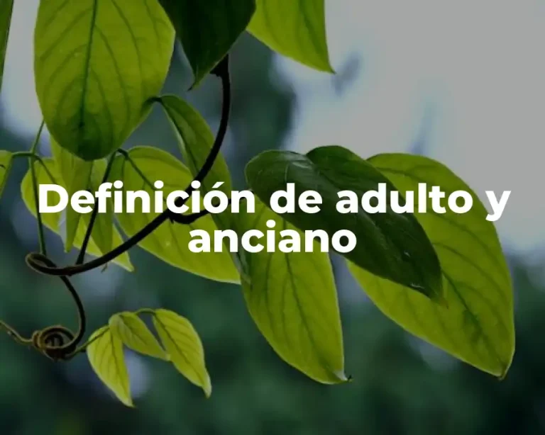 Definición de adulto y anciano