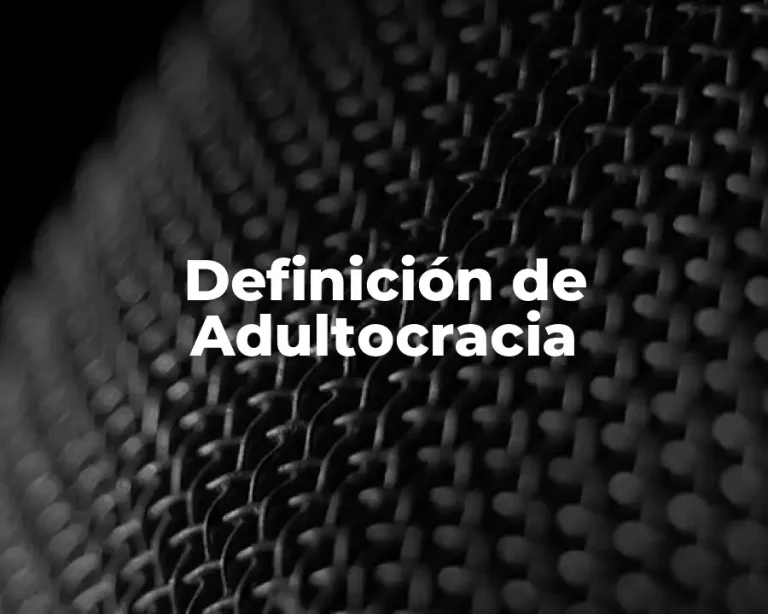 Definición de Adultocracia