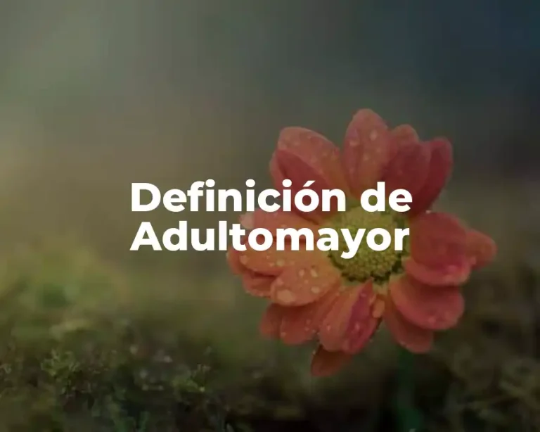 Definición de Adultomayor