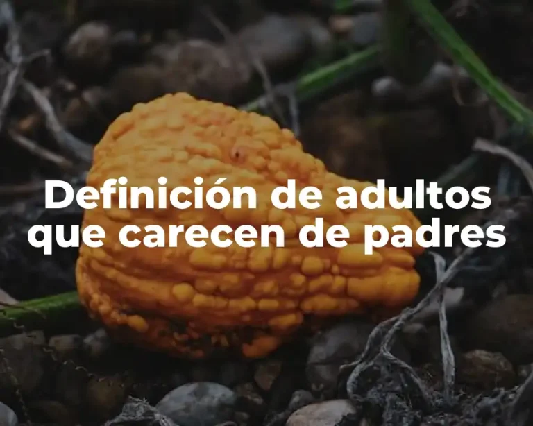 Definición de adultos que carecen de padres