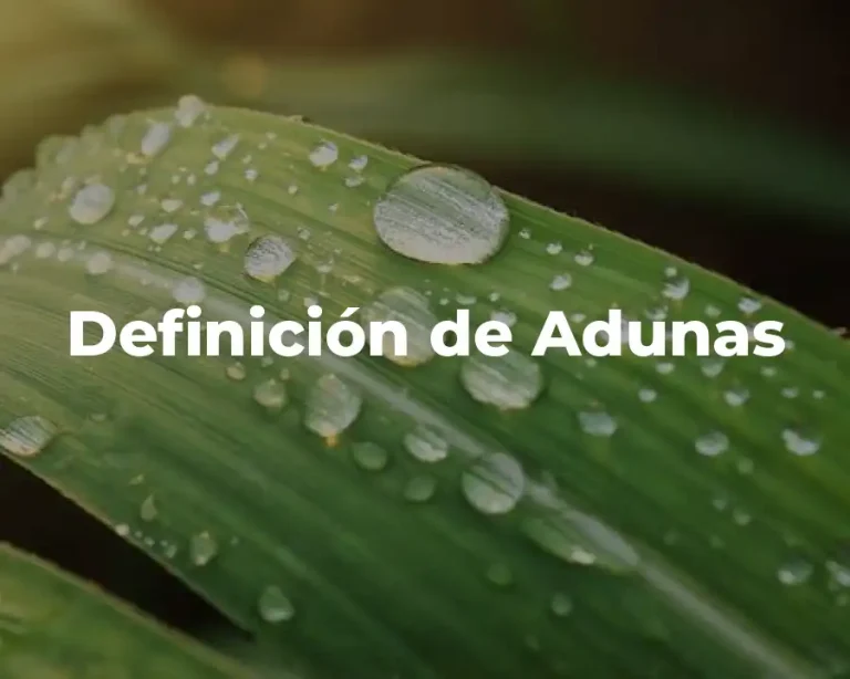 Definición de Adunas