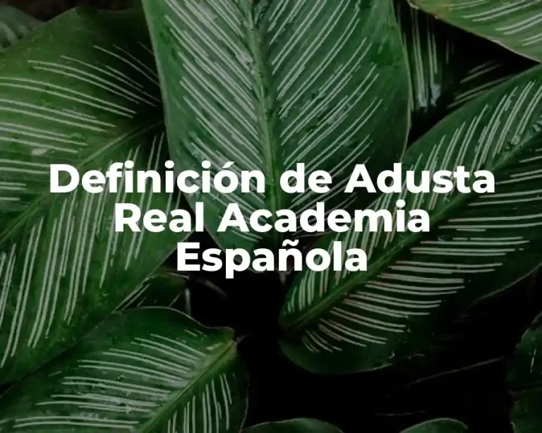 Definición de Adusta Real Academia Española