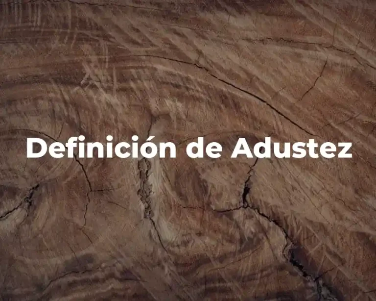 Definición de Adustez