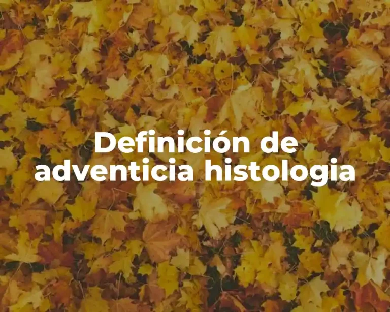 Definición de adventicia histologia